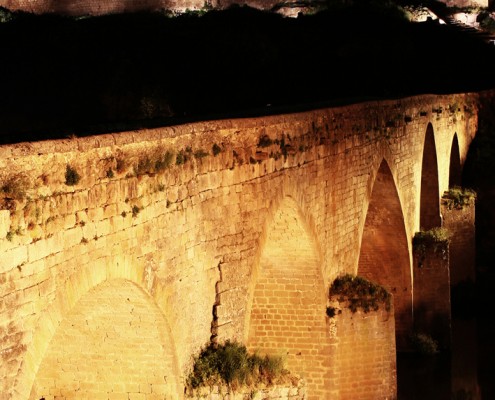 Puente Viejo de Ledesma de noche