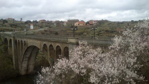 Puente Nuevo de Ledesma
