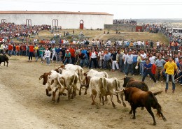 Corpus en Ledesma