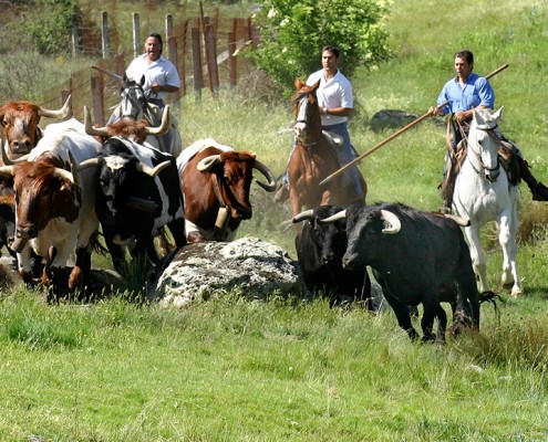 Corpus en Ledesma