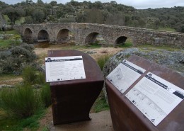 Puente Mocho de Ledesma