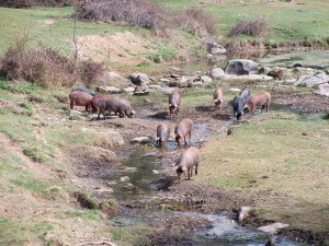 Rutas Naturales por Ledesma