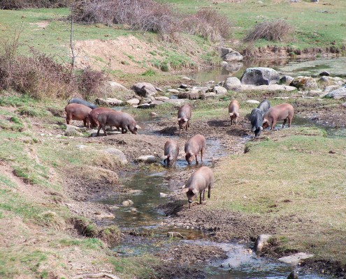 Rutas Naturales por Ledesma