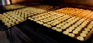 Rosquillas de Ledesma