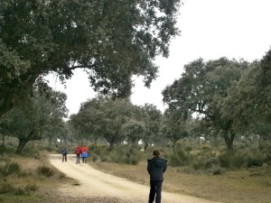Naturaleza de Ledesma