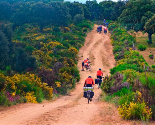 Rutas BTT por Ledesma