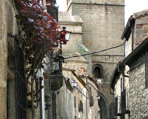 Iglesia de Santa María la Mayor de Ledesma