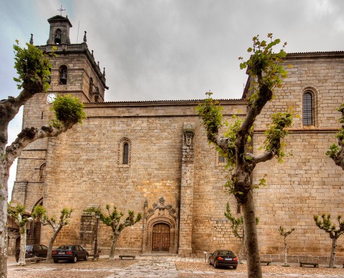 Iglesia de Santa María la Mayor de Ledesma